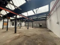 Halle Bild 4